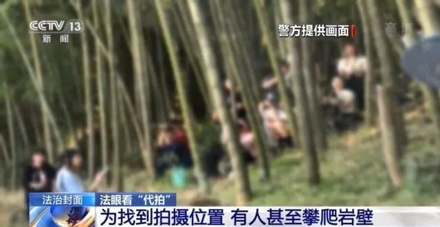 张新宝|央视调查：跟踪、代拍艺人已成产业链！太疯狂