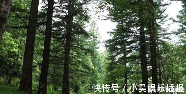 山峰|我国最不该被“忽视”的山，最高峰2831米，是华北第二高峰