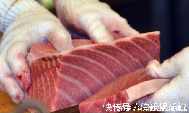 金枪鱼|日本人这样吃金枪鱼？鱼骨里的“脊液”直接吞，这波操作太猛了！