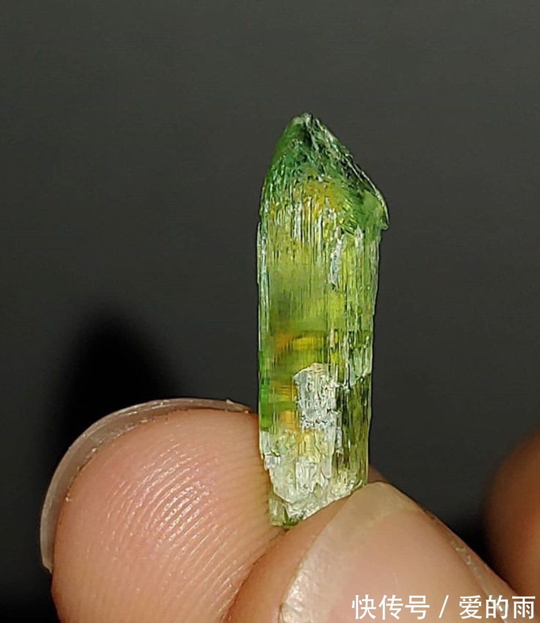 伊丽莎白泰勒#它的紫色恰似伊丽莎白泰勒的眼睛,它就是传说中的暗夜珠宝明星