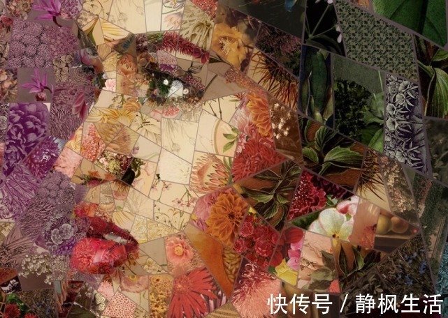 模块@他画了个美人,放大5倍再看,画中别有洞天,网友:原来不是美人