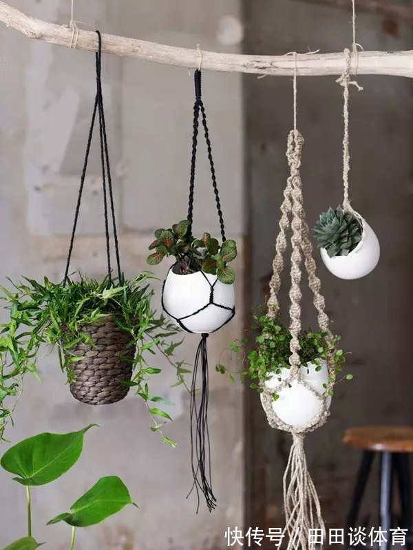 家里的废弃瓶罐别扔了,随手做成创意花盆,省下一笔钱