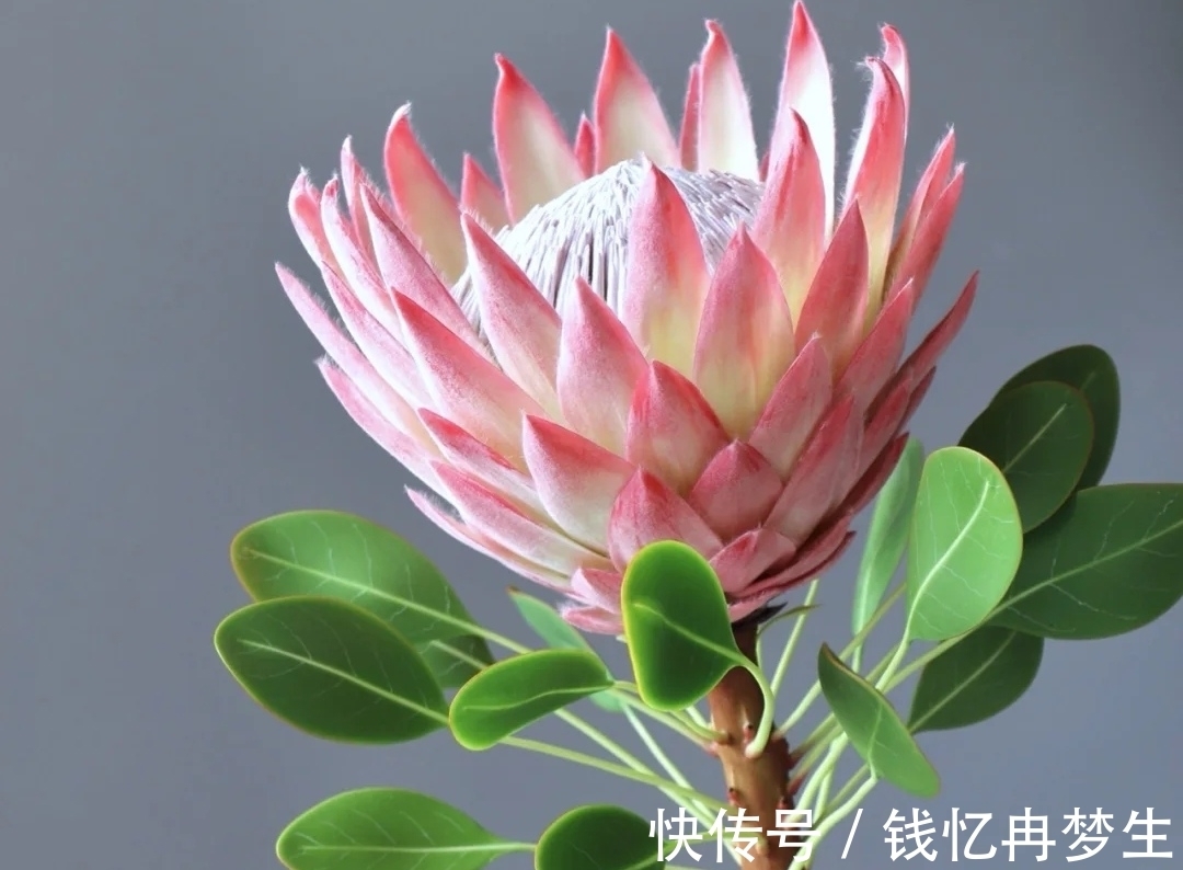 曾国藩&《道德经》有格局的人，守其雌，守其黑，守其辱，反而，有大作为