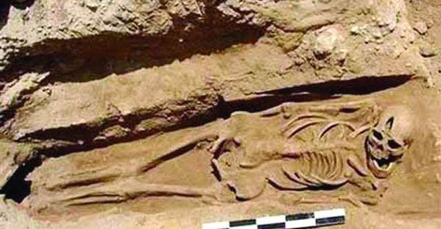 揭秘如何通过骨头分辨男女,考古系的女生都要亲手摸