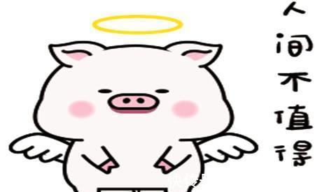 |幽默笑话:刚刚不小心碰了一大妈,给俺那一通骂,都不带重复的