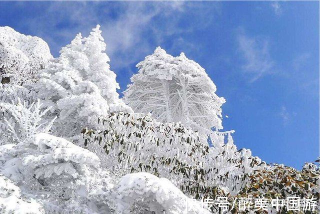 缆车|探访轿子雪山，白雪皑皑，雾凇壮观，云雾缭绕，攻略详解