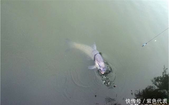 初夏钓鱼,大水面是“主战场”,如何找到鱼窝,至少有这5个方向