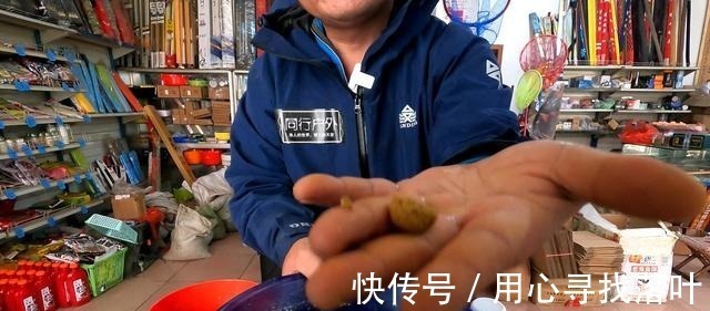 伴侣|许多人至今仍不相信，采用这种方法可以彻底提升搓饵状态！