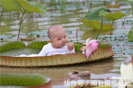 宝宝|男子将宝宝放在荷叶上,随后发生的事,让路人难以接受