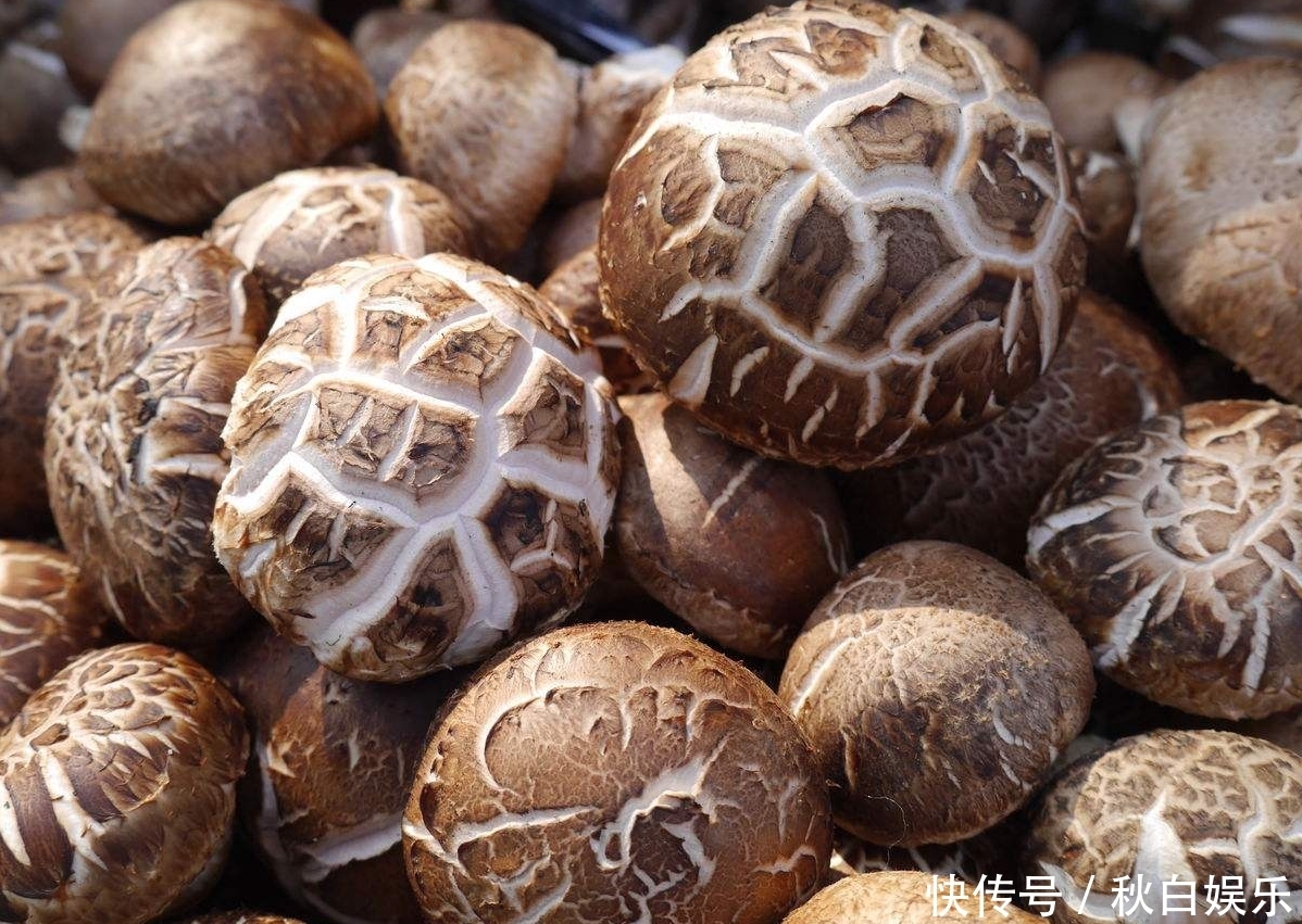 清洗香菇有窍门,记得加点它,香菇更干净,吃起来更健康