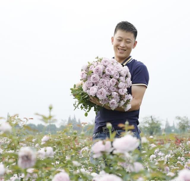别再羡慕达人的花园了，月季正餐吃得好，你也可以