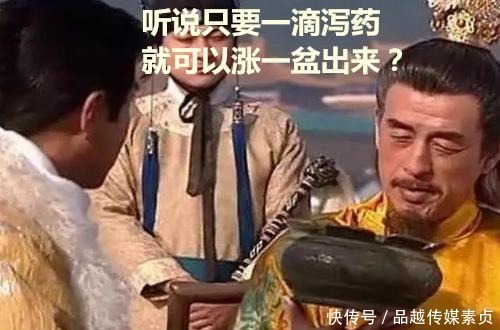 奇葩|明朝十六帝，个个是奇葩，是遗传？ 朕只有吊死才能成为屌丝