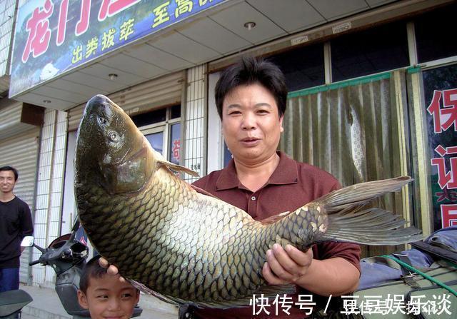 钓鱼几十年,唯独最服这钓法,省时省力---皇禾钓具