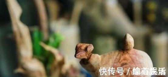 狡猾&老祖宗说:真正聪明的人,往往有4个“狡猾”的特征,你知道吗