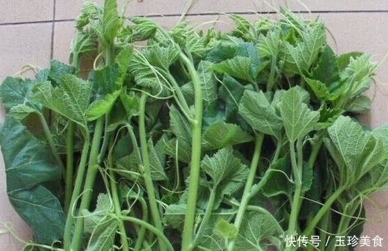  吃不下去|四种北方人“咽不下”的南方蔬菜，南方人：其实图4我们也不喜欢