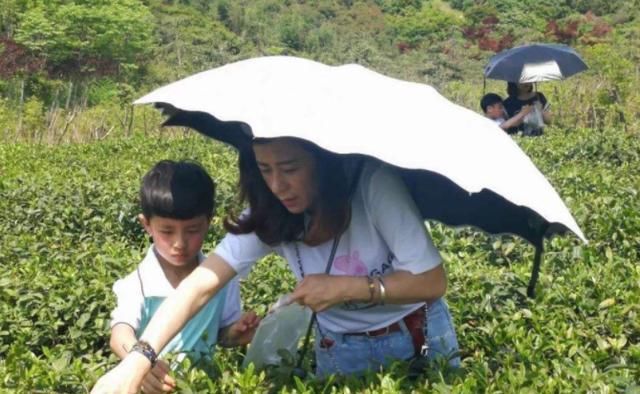 大人|孩子没满这个“年龄”，家长最好别带他旅游，大人小孩都遭罪