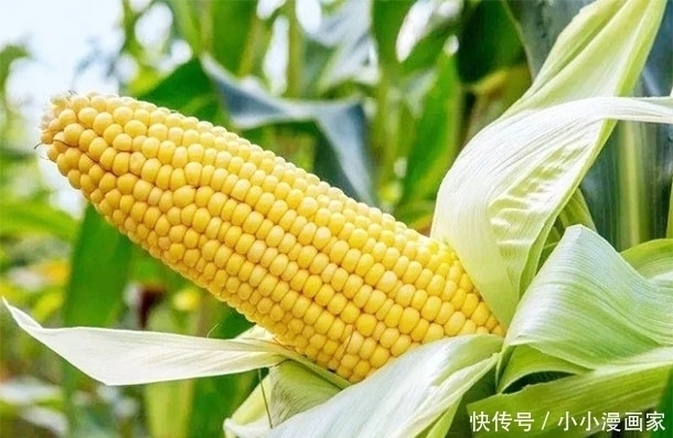 营养物质|女性40岁后,多吃3种“抽脂”食物,刮油瘦身,一天比一天瘦