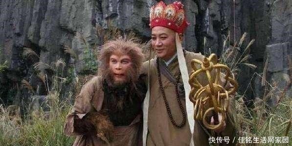 老君|花果山惨案发生了啥让猴哥大杀四方,老君拿出千枚仙丹得以平息