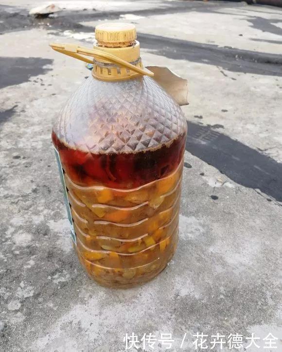 花草|超厉害的“开花肥”，2周浇一勺，呼呼爆花，一连3个月