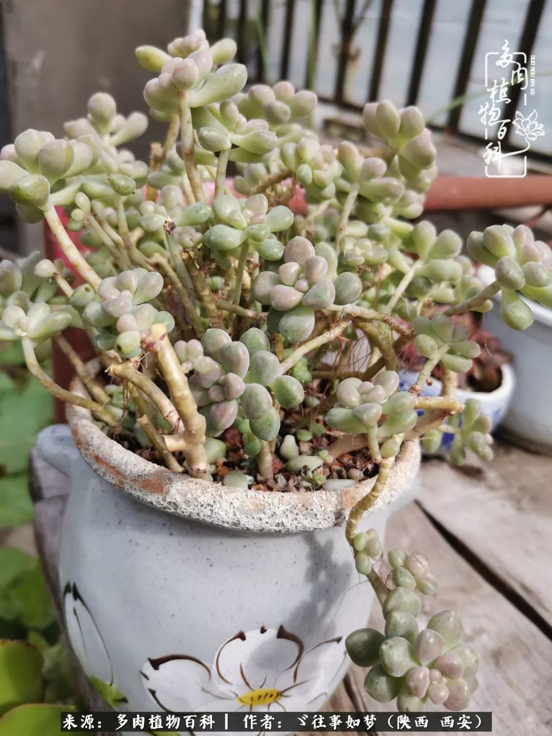 愿你付出甘之如饴,愿你所得归于欢喜!