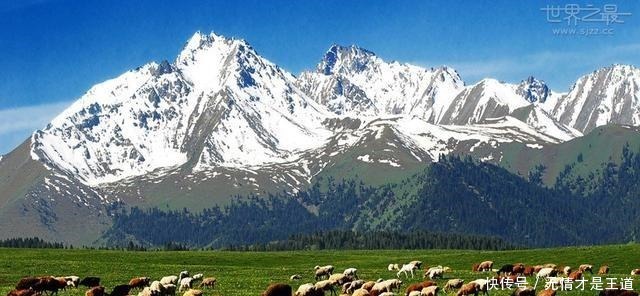 六大|蓝天白云,自由自在,中国六大最美的草原!