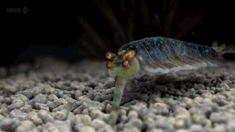 |搞笑GIF:姑娘你矜持点,你的演绎浮夸得让我害怕,哈哈哈