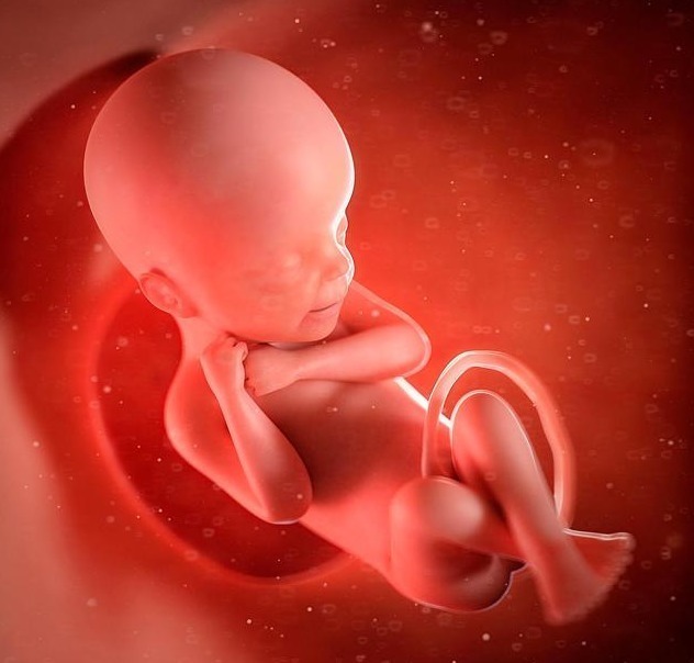 胎儿|孕期最后一个月,孕妇遵循“三做二不做”,胎儿出生更顺利