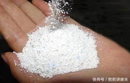 洗衣粉养花妙用学2招,使它来杀虫、催花,早知道早受益