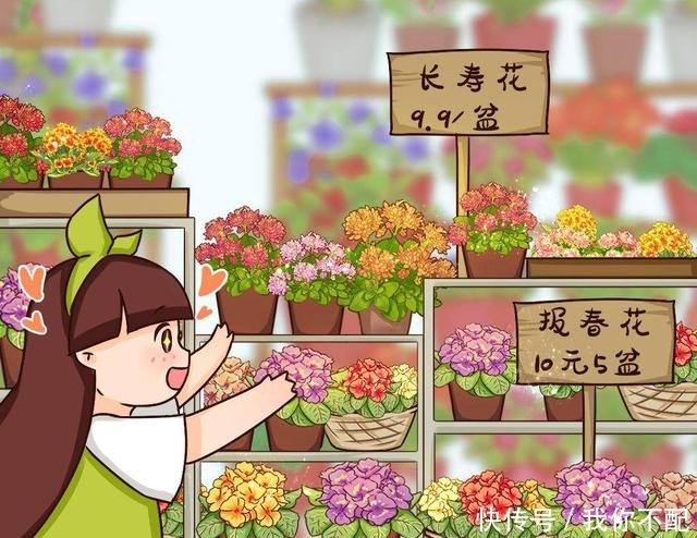 7种便宜花,10块钱家里就变花海,越养越上瘾!