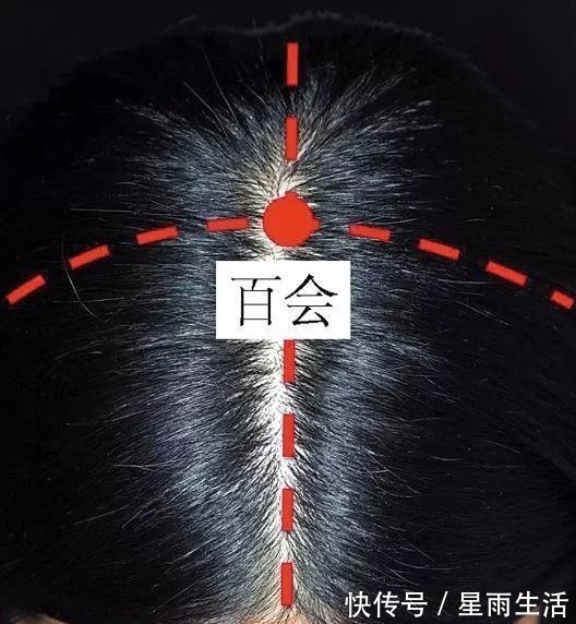 红豆|头顶上有个“祛湿穴”,每天一按,排湿气,健脾胃,失眠改善了