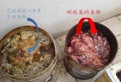 阳台养此2种花,开花量比“月季”还大,枝枝满花,耐旱又好养