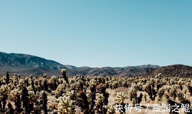 12月，遇见爱与暖，牵手余生，3星座心有所属，一生幸福安康