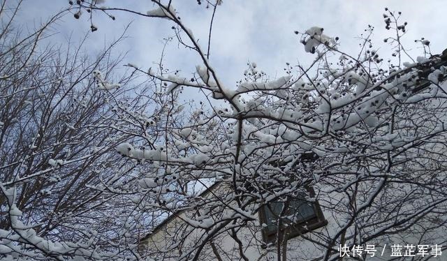  忽如一|第一场雪，忽如一夜春风来；谈古论今，唯叹大雪满弓刀！