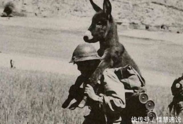 巴不得|最奇葩的日本军队,拥有最先进装备,中国军队却巴不得碰到它