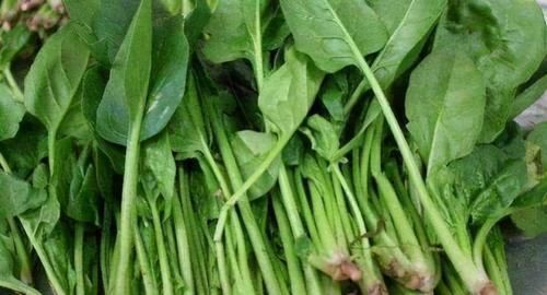 氨基苯甲酸|人到中年想长寿，常吃3种食物，补血益气，延缓衰老，营养又瘦身