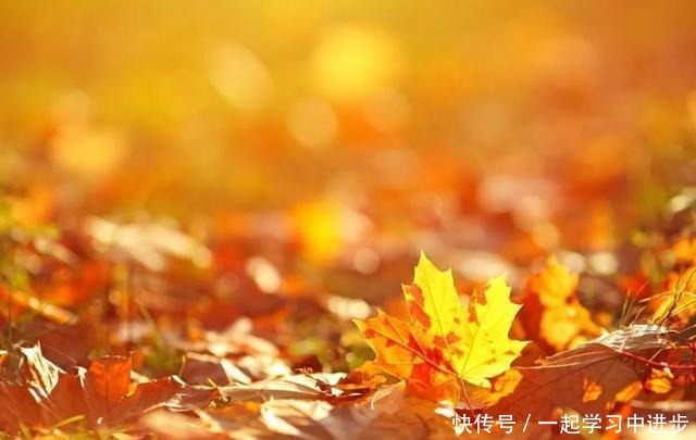  苏州人的宝岛秘境，美成仙境，却被时光遗忘！