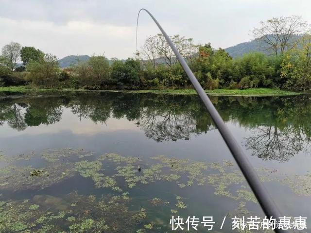 冬季|应对冬季特有的鱼情变化,掌握这几点大鲫鱼连竿上!