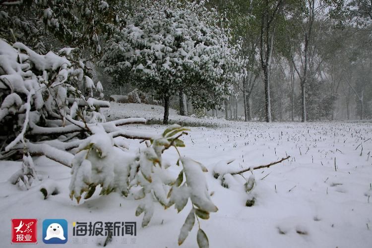 雪景|立冬至瑞雪来 滨州各县市区换素颜