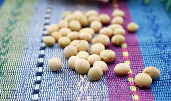 女性|黄体酮不足,常有四种表现,多吃两物,延缓卵巢衰老,更有女人味