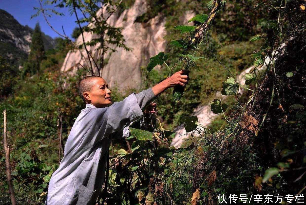 意义|问道“终南山”，数万人在这里修行，辛东方说还有人在修行的路上