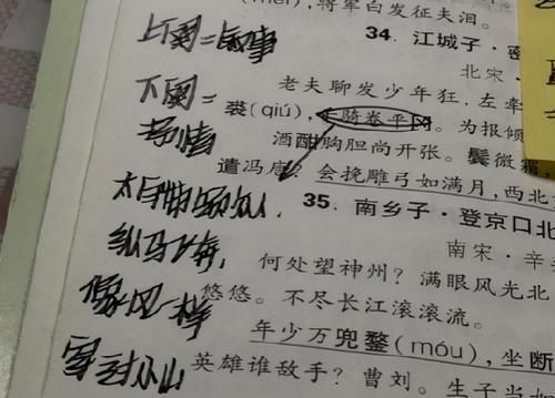 鲸落体!网红字体风靡中学,奶酪体、鲸落体已过时,加强版“豆腐体”来了