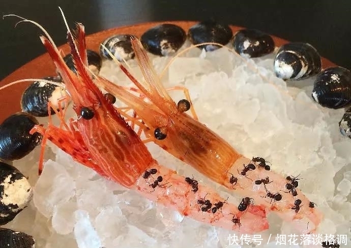 日本最虐心的7大黑暗料理,也就最后一个我敢尝一尝