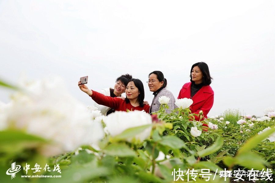 合肥|美丽安徽：胜日寻芳景 皖山皖水情