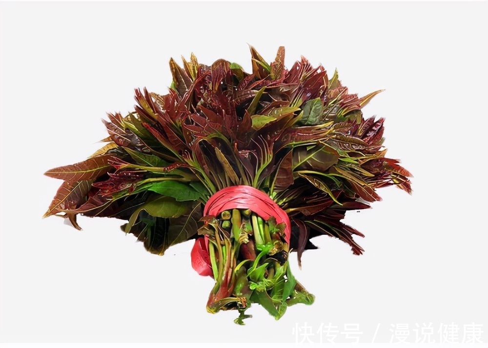 香椿芽|香椿一到,春日报道?在吃这种春天之味前,还需注意这2个禁忌