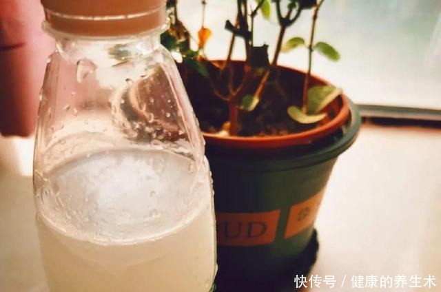 不敢用淘米水了，浇完花就死，土里都是虫！不敢用淘米水了，浇完花就死，土里都是虫！