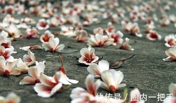 悯农#史上最惊艳的五绝是哪10首?篇篇精彩,《望敬亭山》都望尘莫及