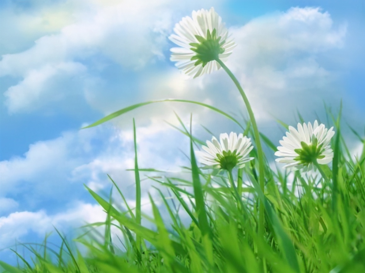 晴风|你以为的养生,其实是假的,真正的养生只有两个字