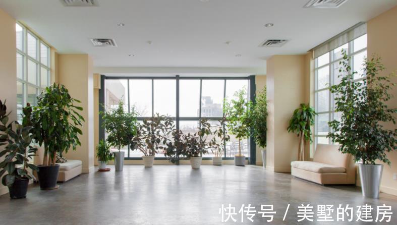 水溶肥|夏季给植物盆栽施肥,有3个忌讳点,做错了就会黄叶烂根