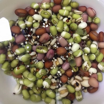 味道棒|椰奶清补凉