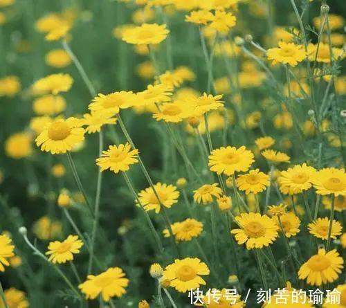 寇准$古人智慧15个机智又有趣对联故事！